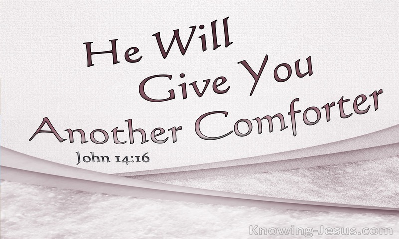 John 14:16 He Will Give You Another Comforter (pink)